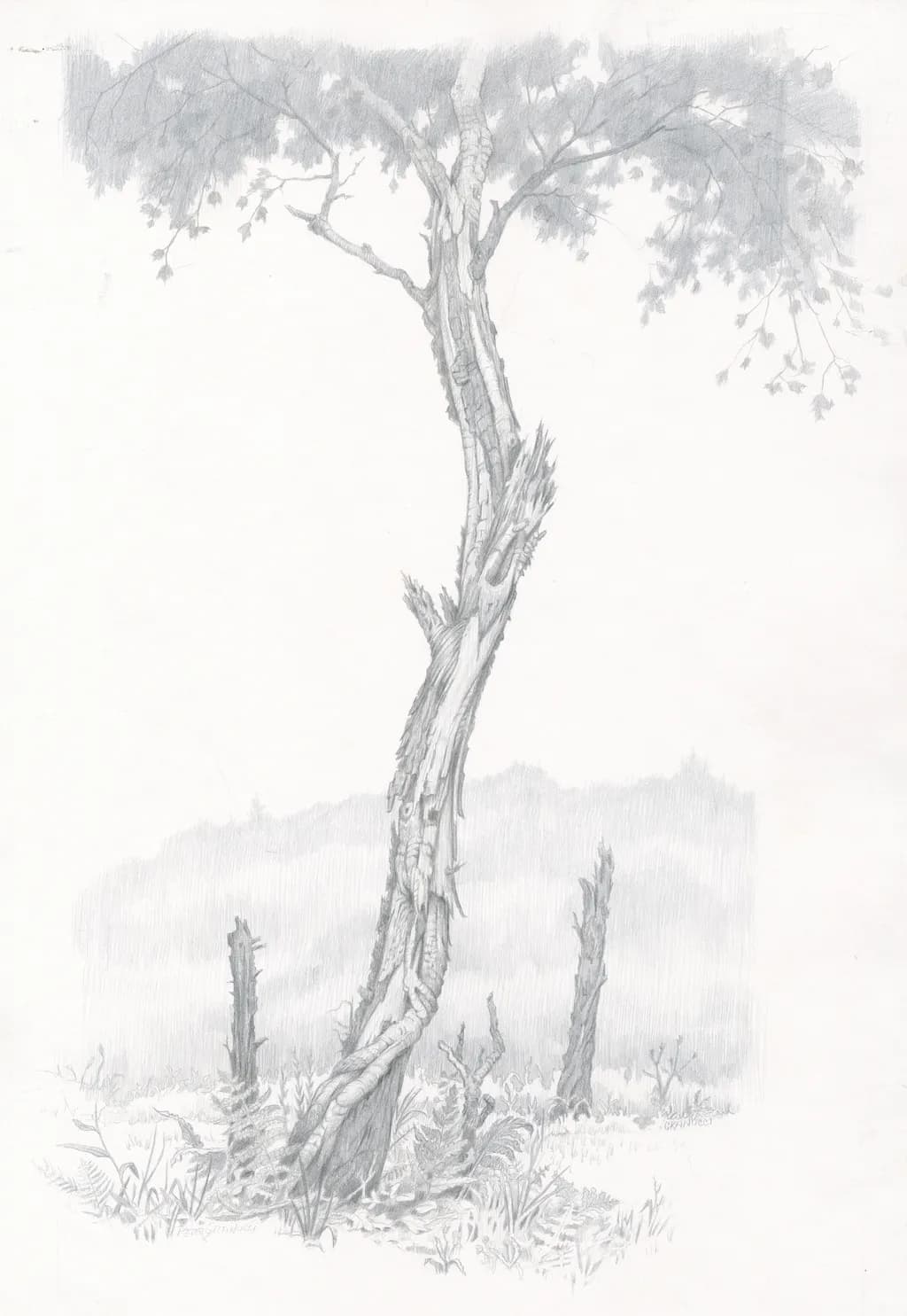 Snake Tree