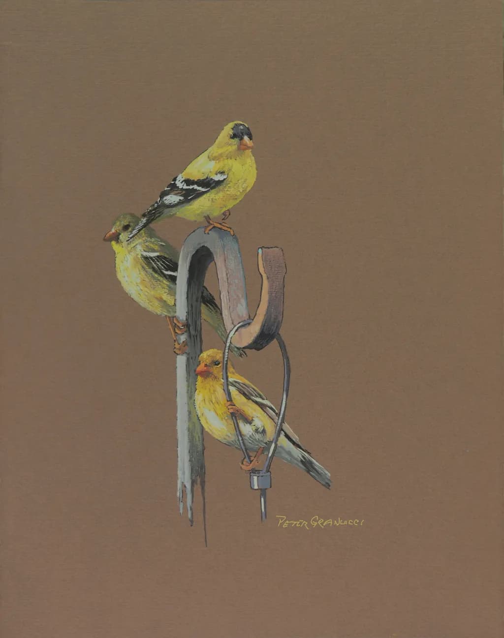 Goldfinches Waiting