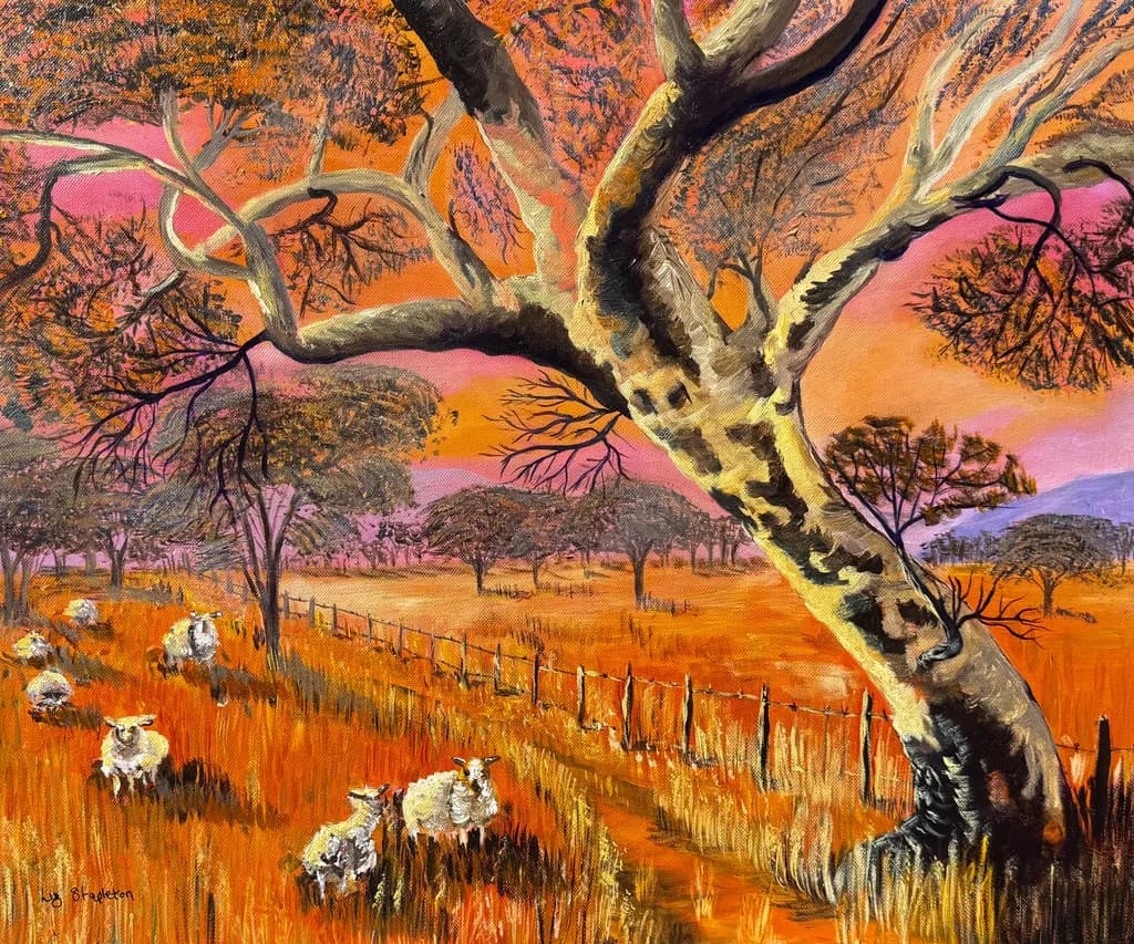Dusk in Wool Country