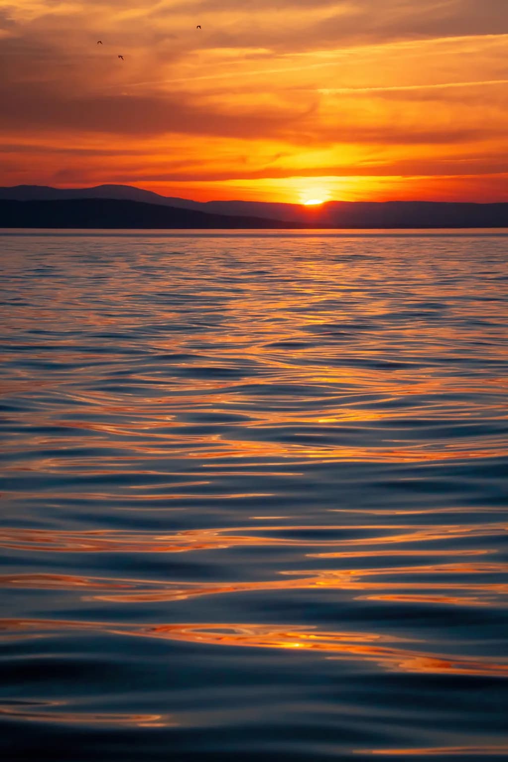 Evening Magic