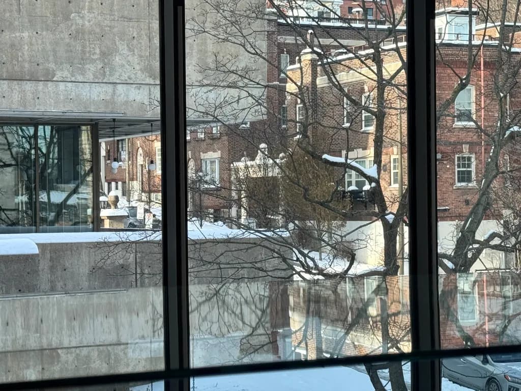 Winter Window Reflection