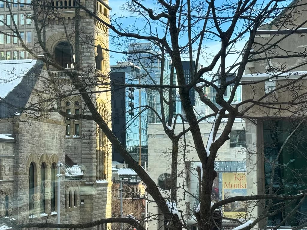 Winter Branches Over Cityscape