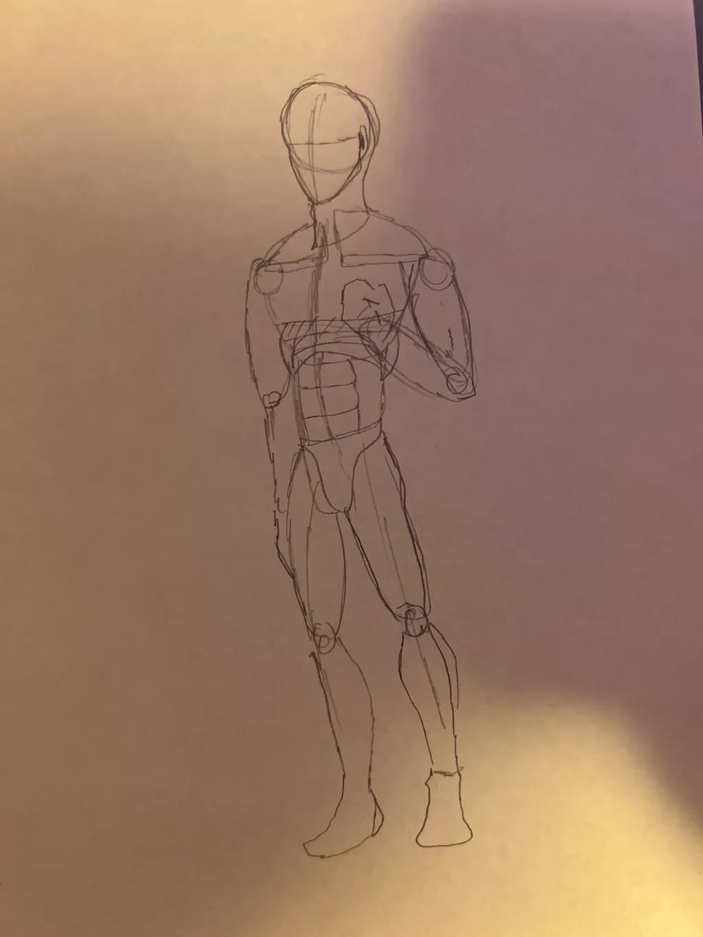 Anatomy Outline