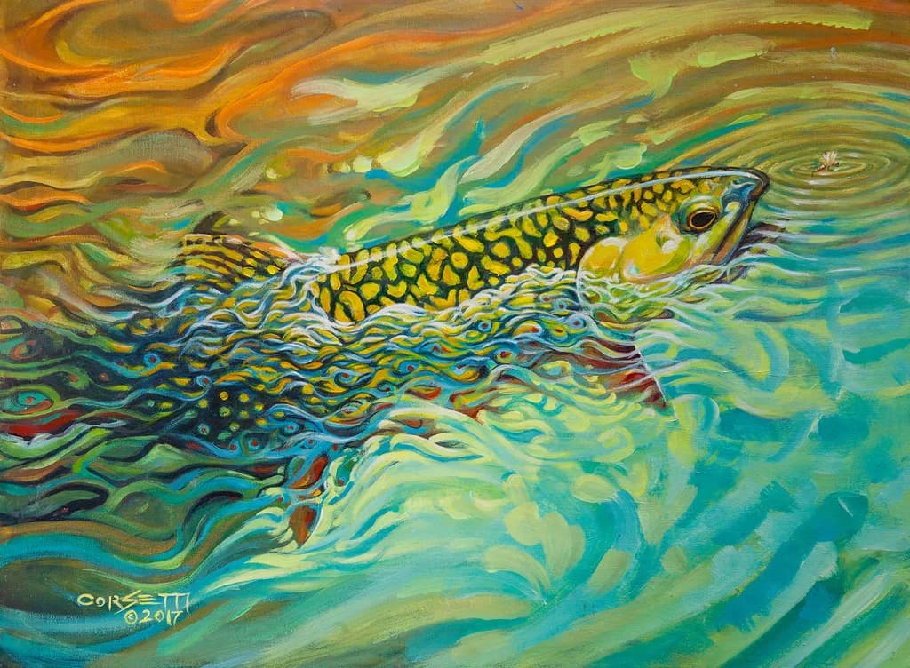 Brookie Flash