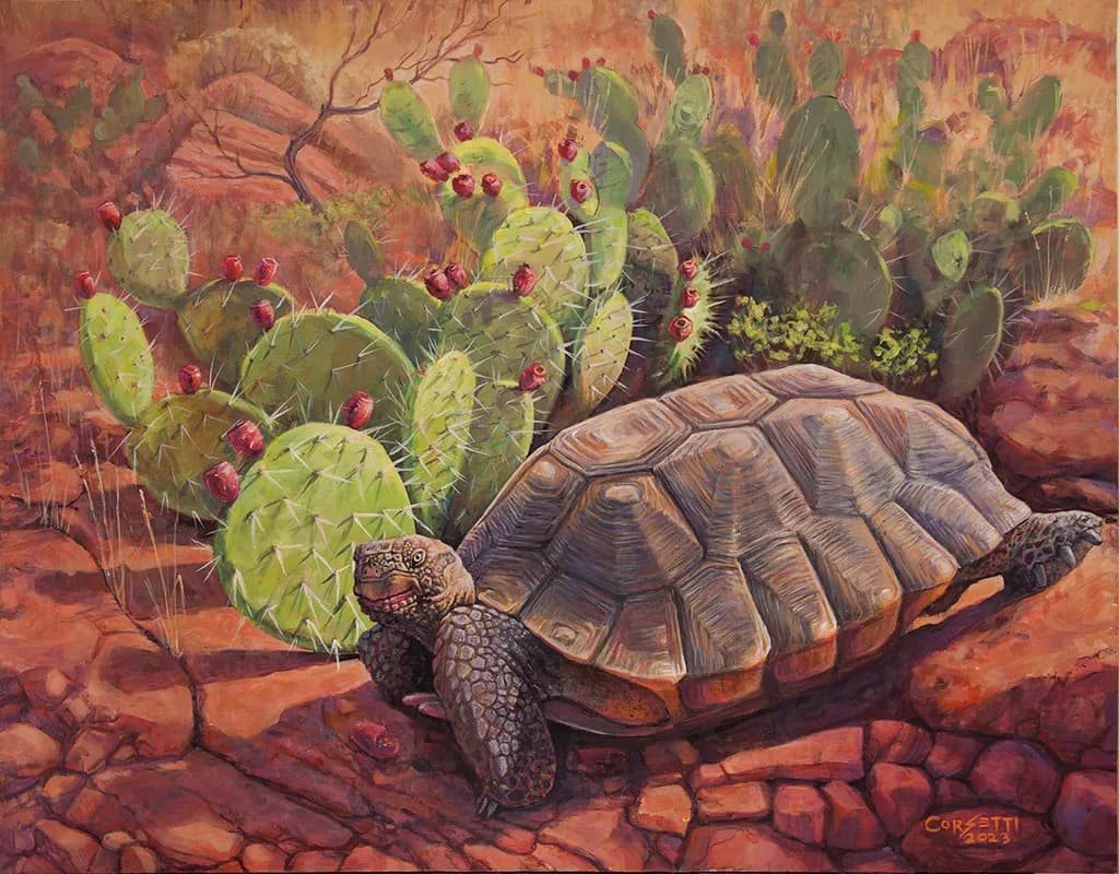 Tortoise Lips