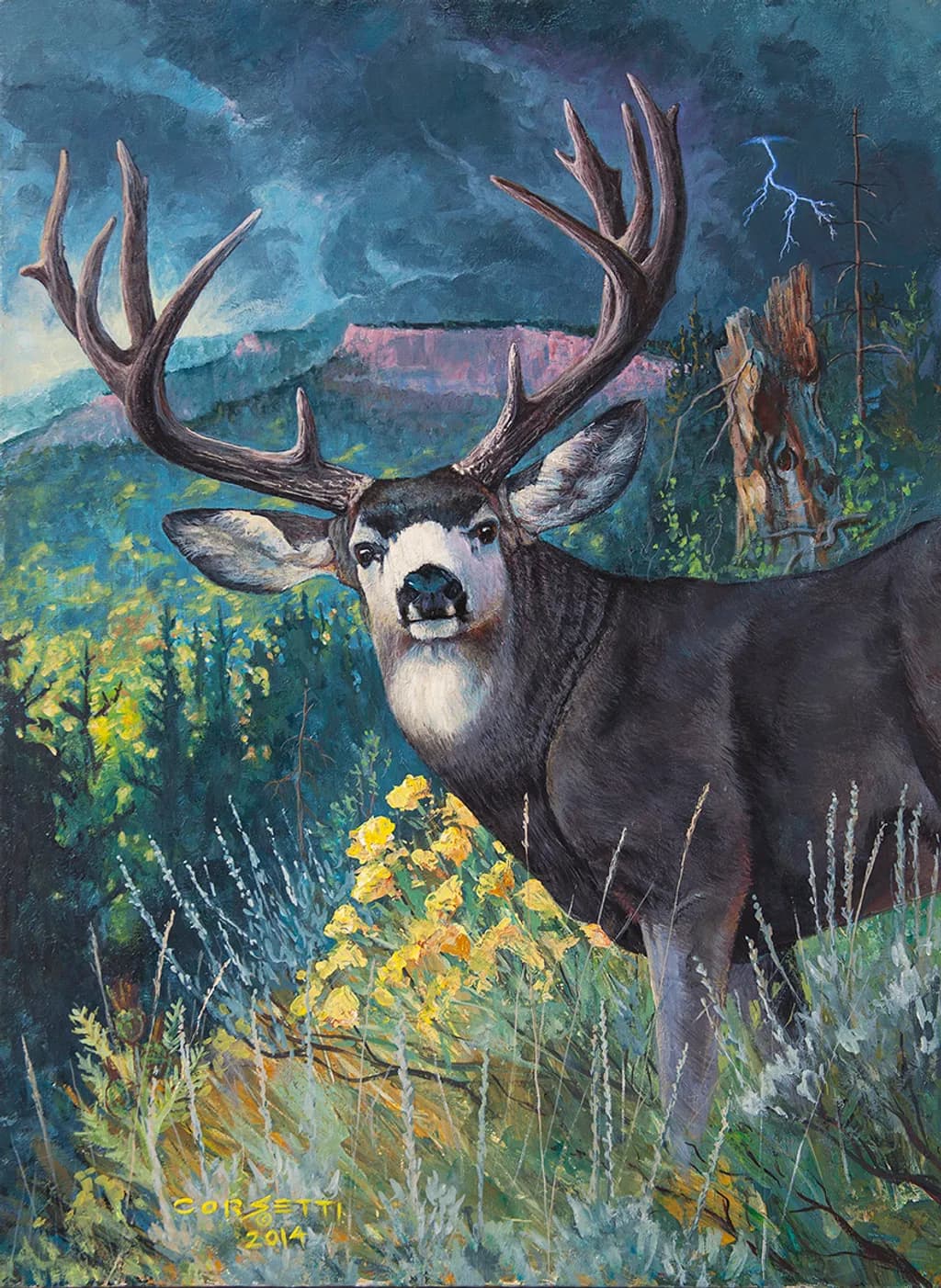 Mulie Storm