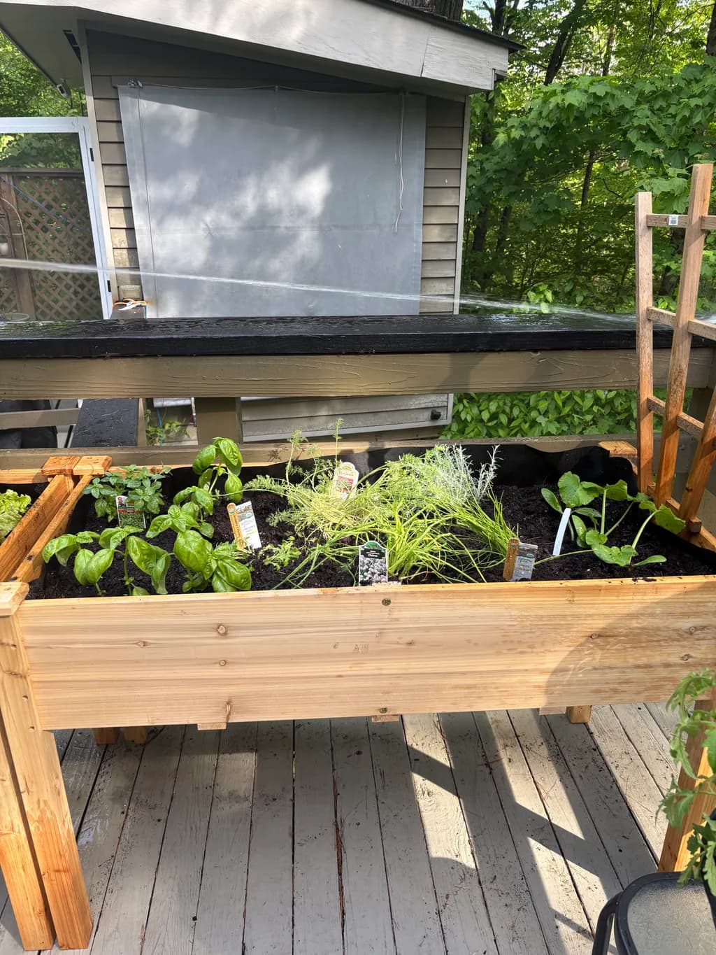 Raised Garden Bed