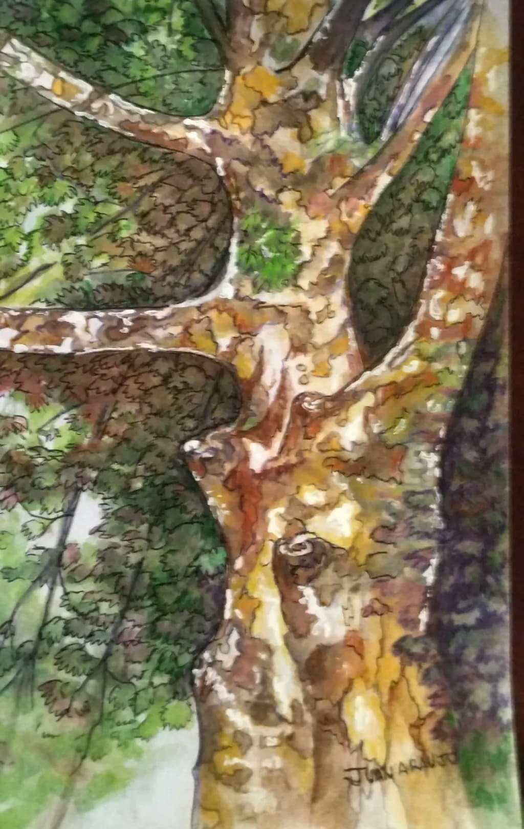 Gnarled Canopy