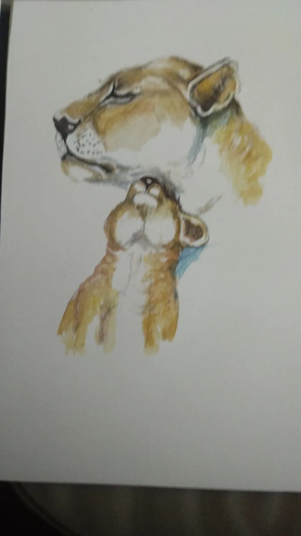 Lioness and Cub Connection
