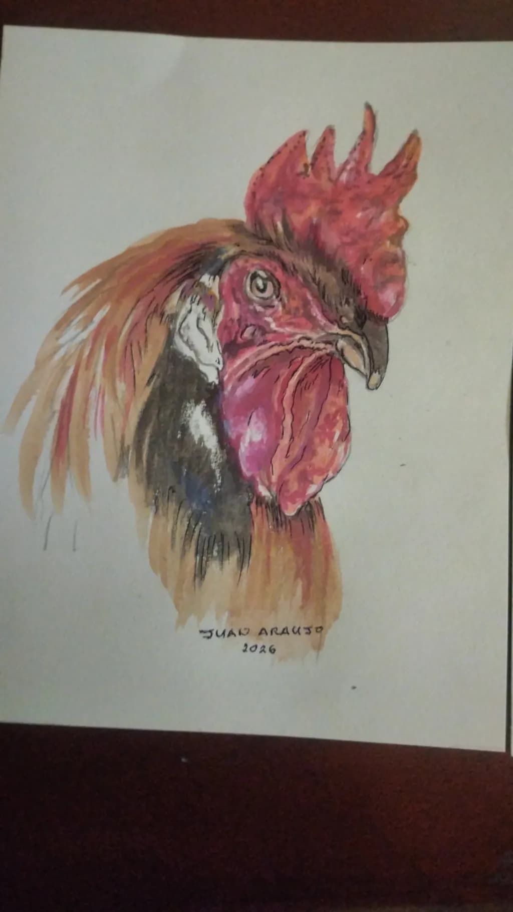 Rooster Gaze