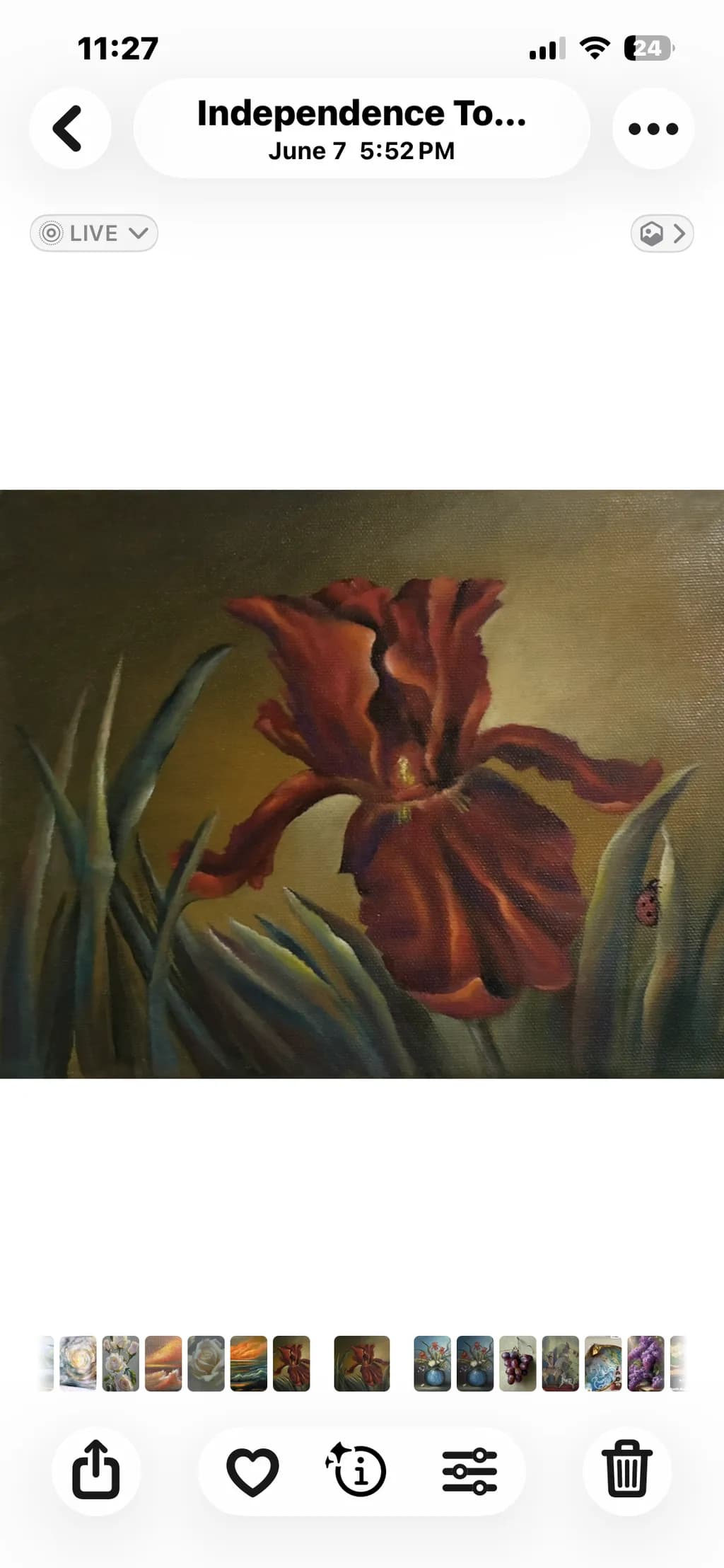 Red Iris with Ladybug