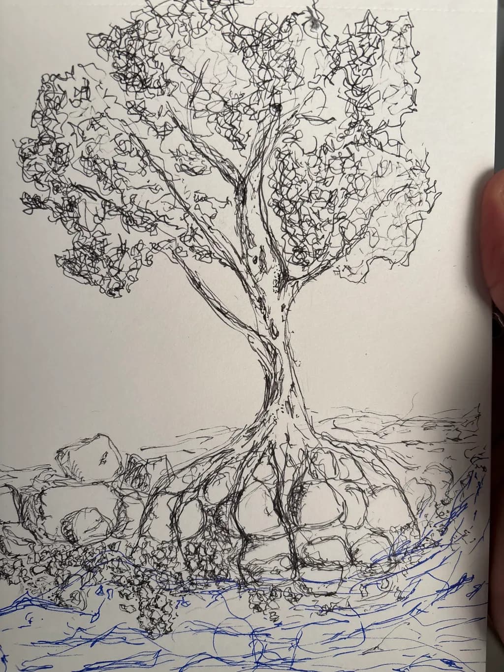 Rooted in Stone