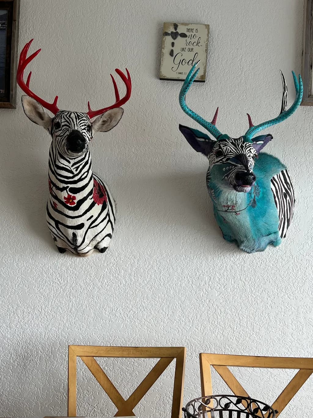 Zebra Antler Duo