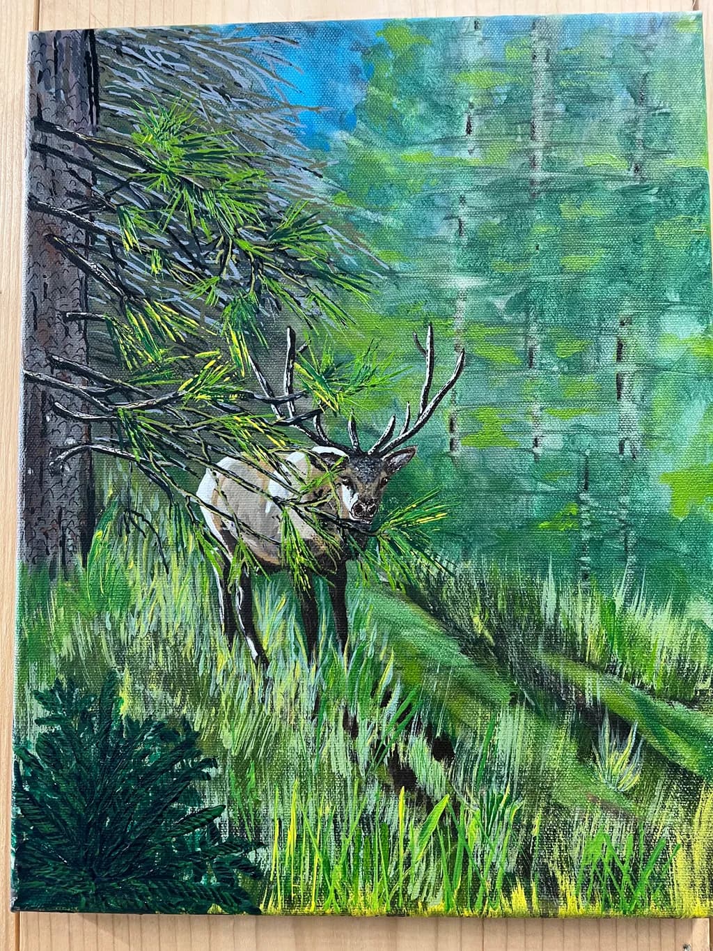 Forest Watcher