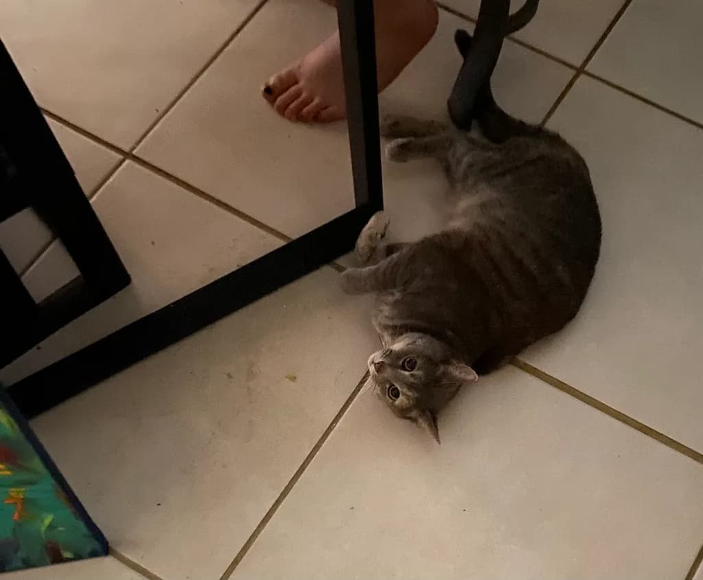 Curious Reflection