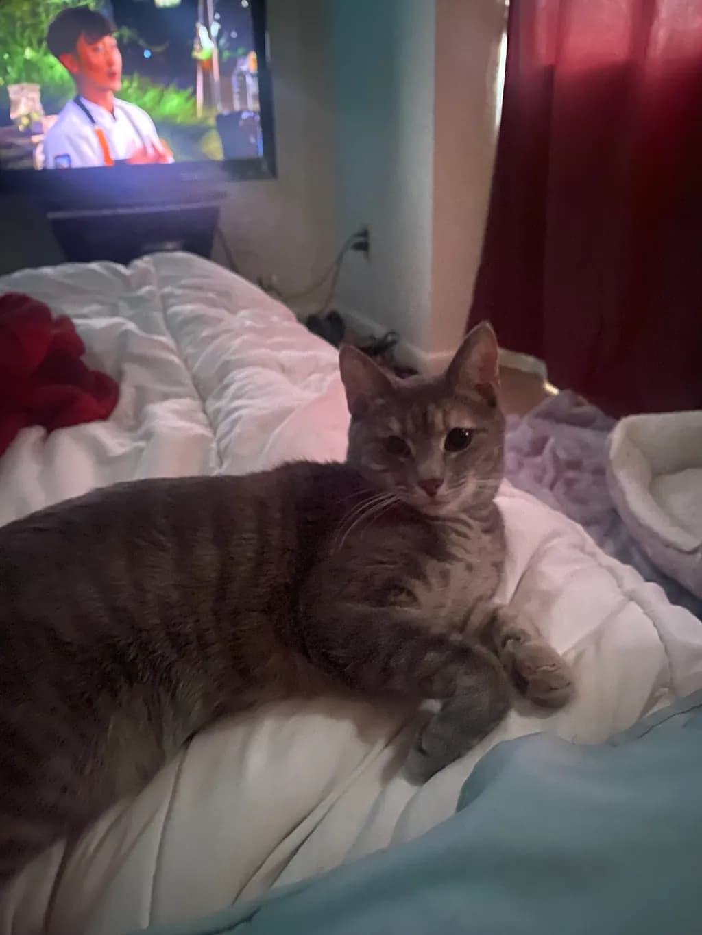 Bedside Watcher