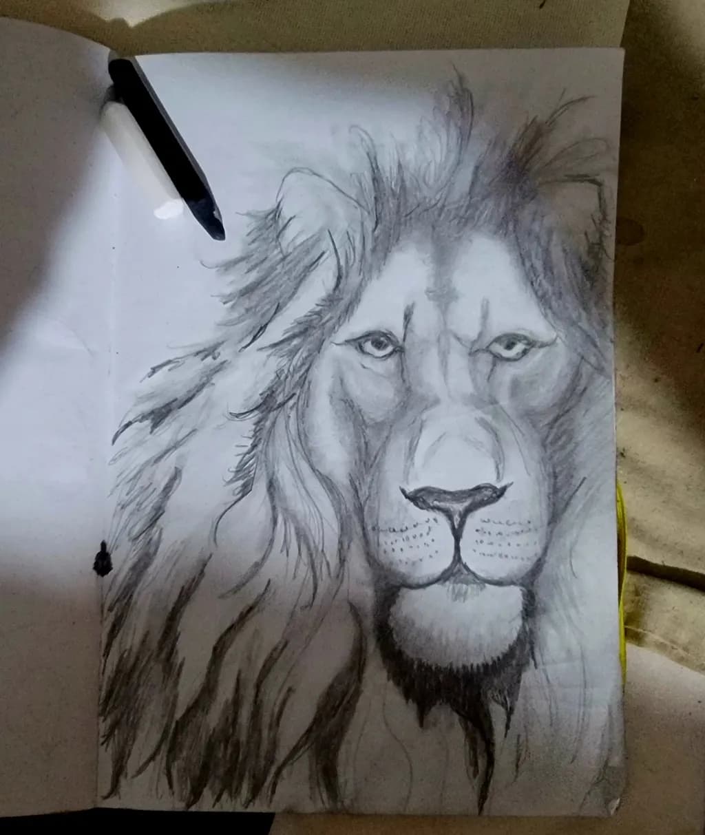 Majestic Gaze