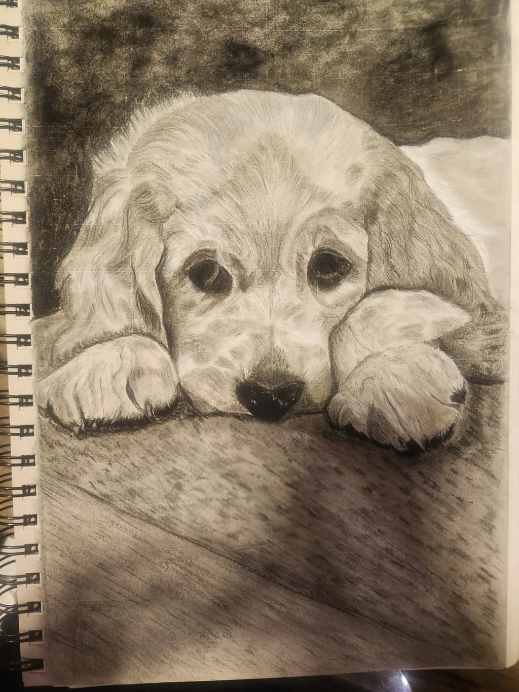 Pensive Puppy