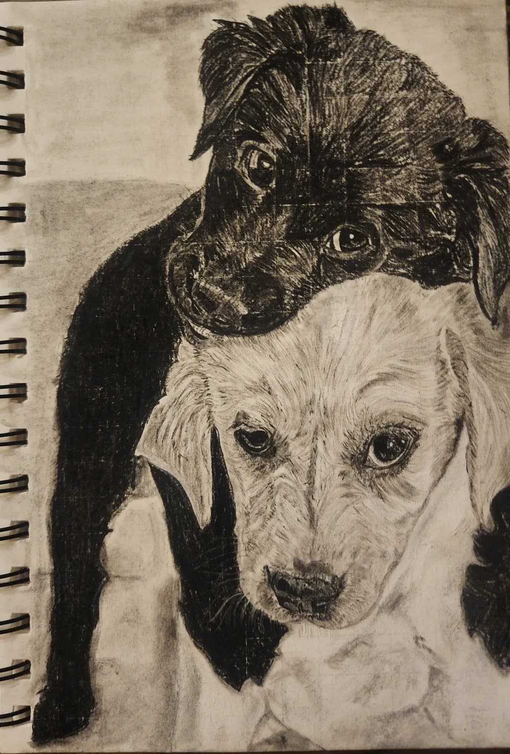 Puppy Embrace