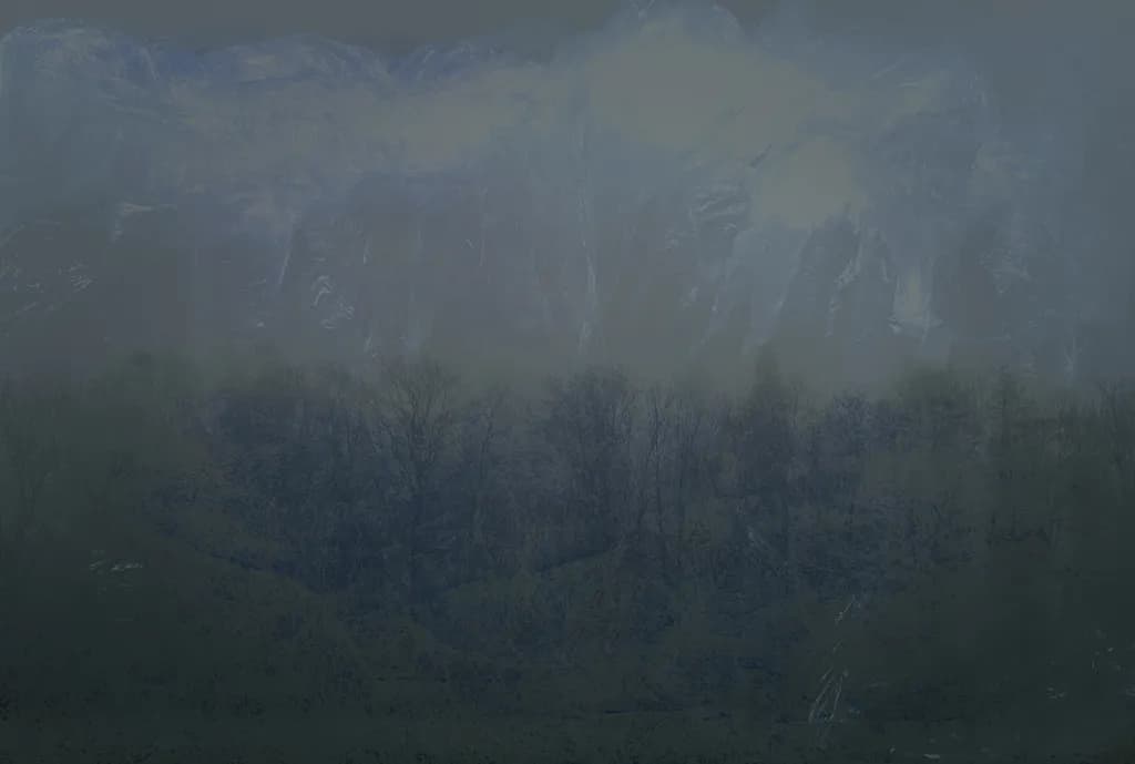 Misty Forest Silence
