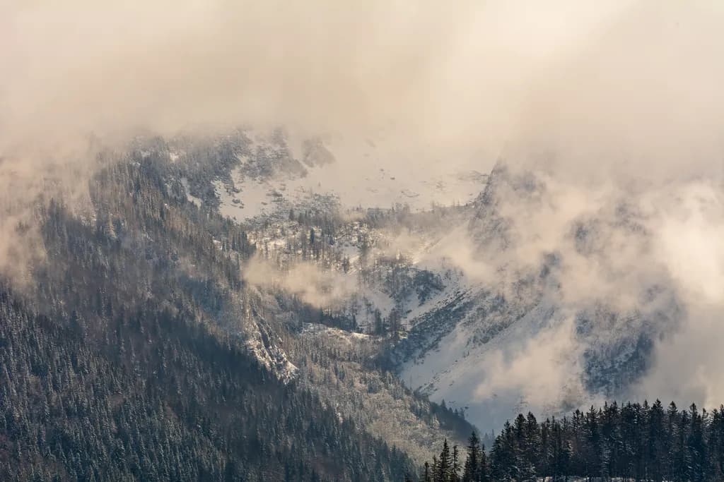 Misty Mountain Veil