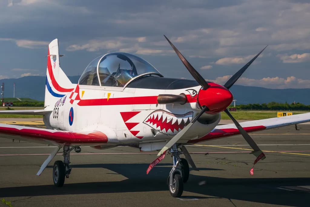 Shark Nose Trainer