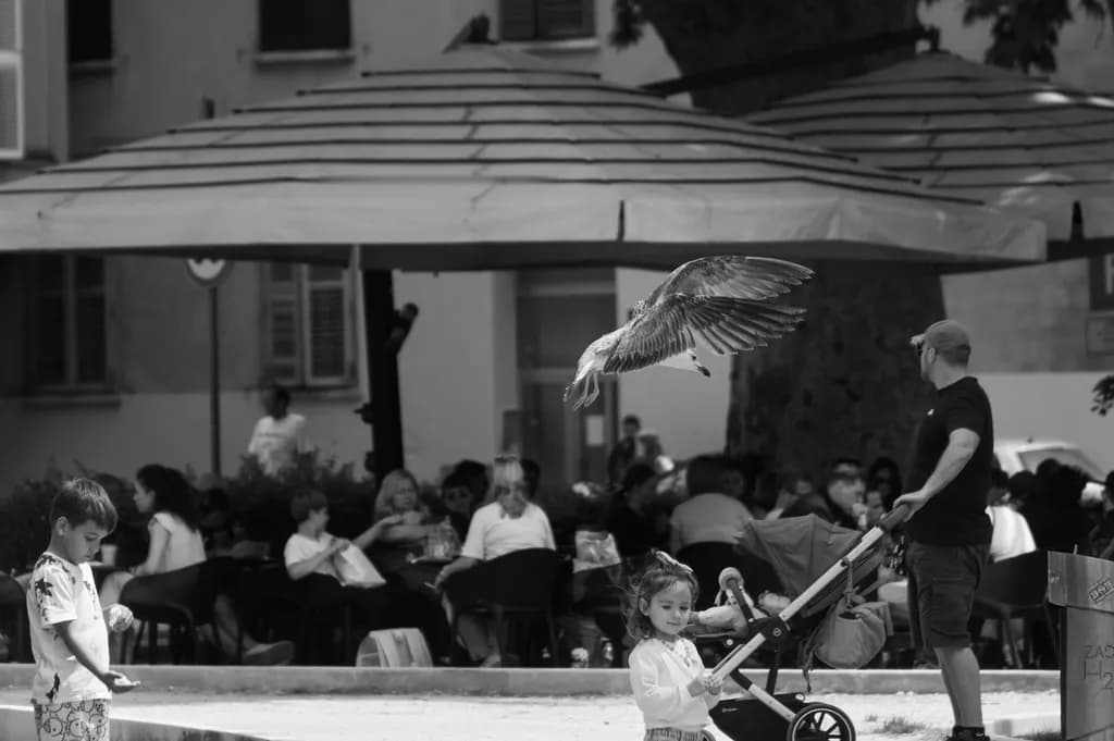 City Moment