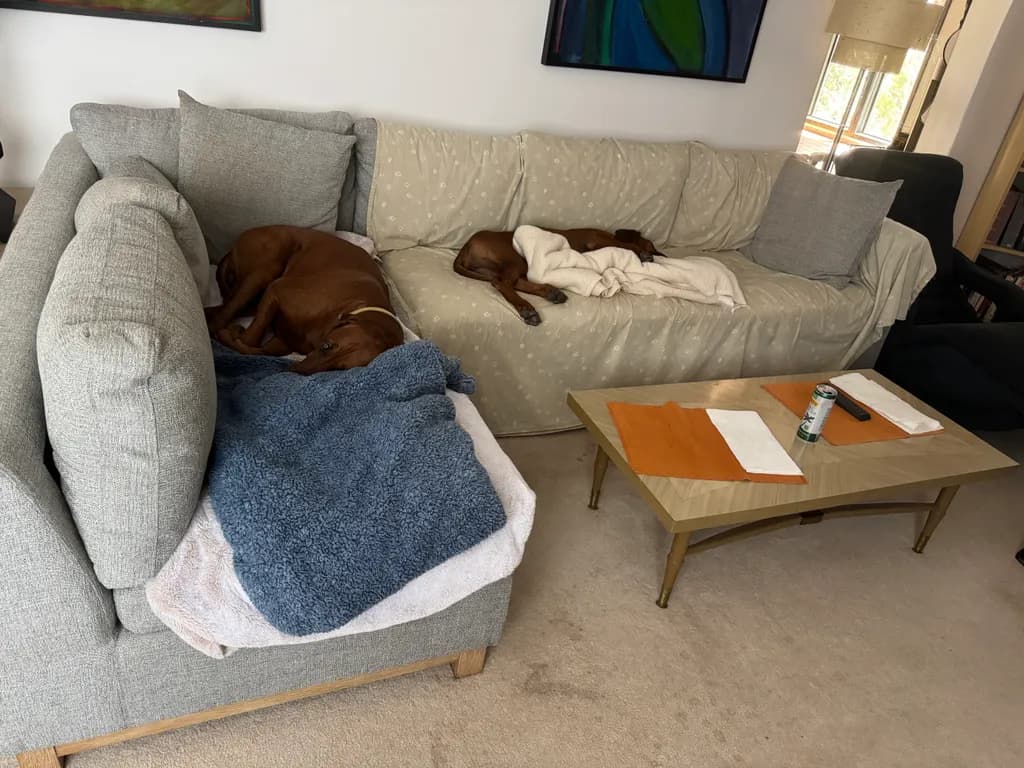 Cozy Sectional Retreat