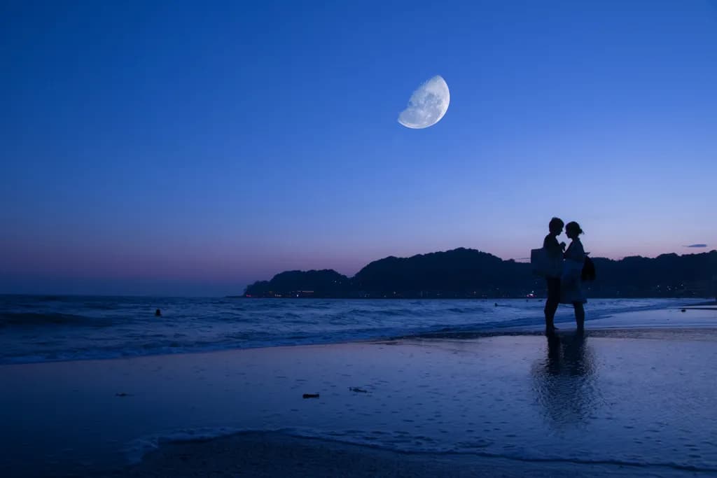 Playa Moonlight