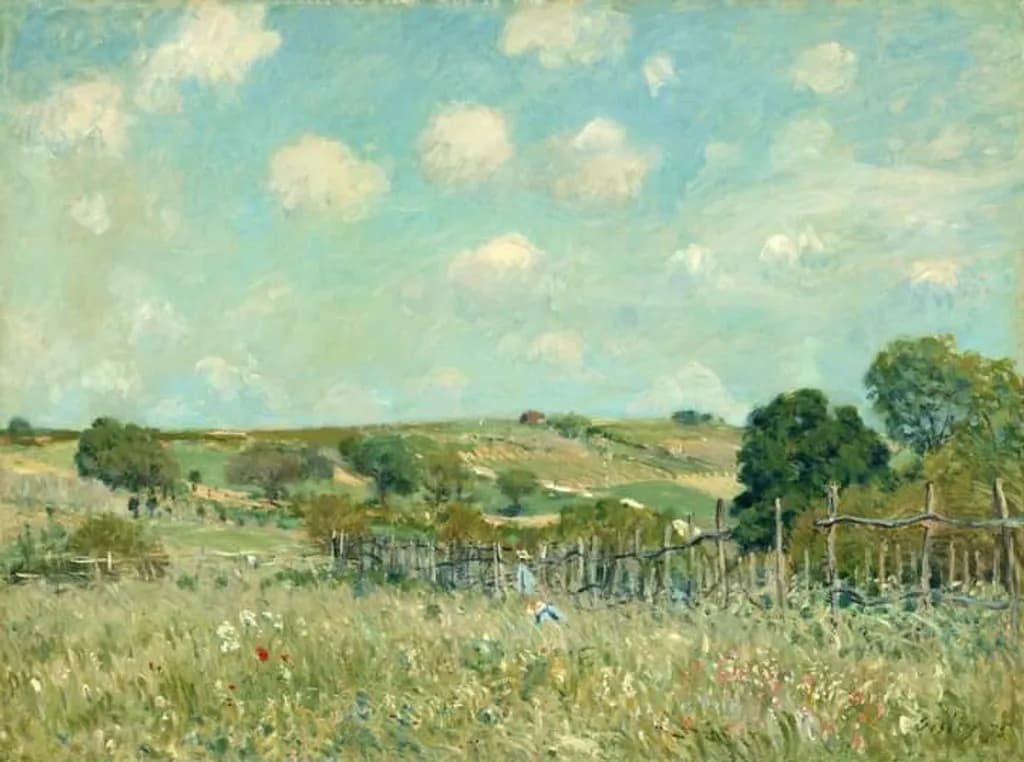 Summer Field Vista