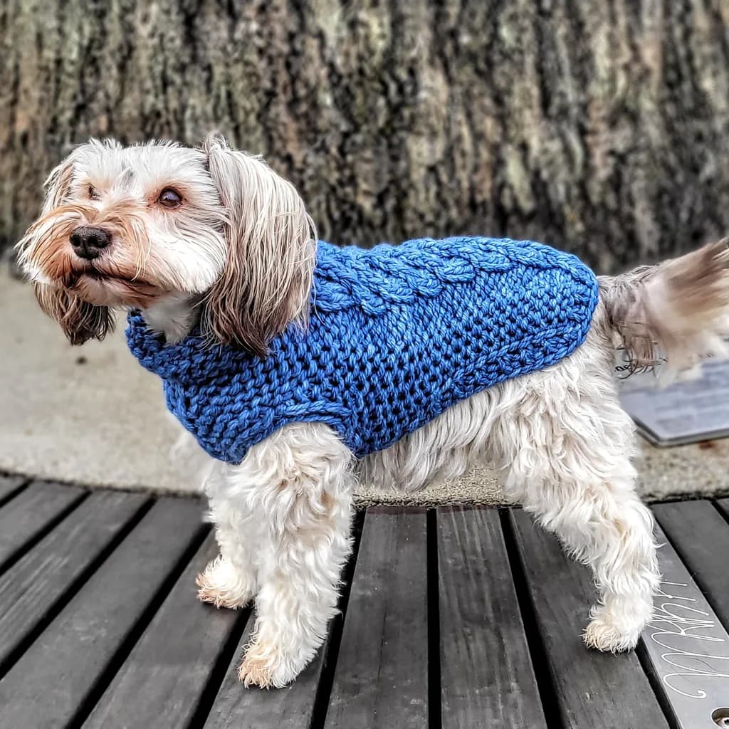 Cozy Blue Knit