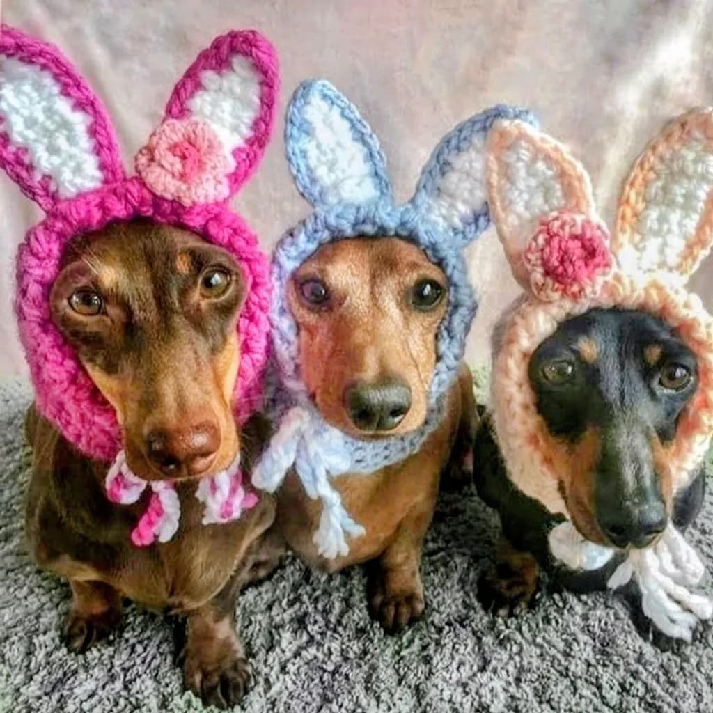 Bunny Hat Trio