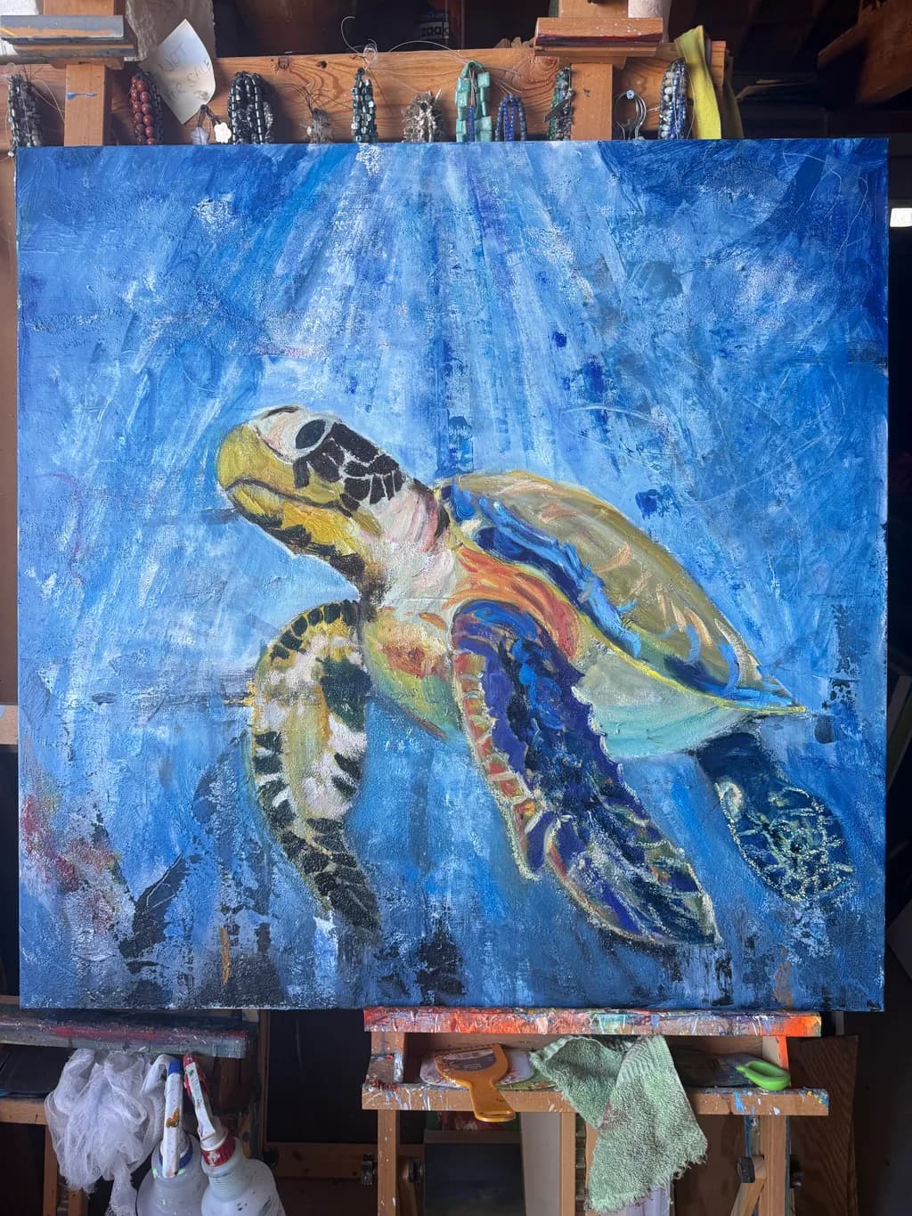 Ocean Glide
