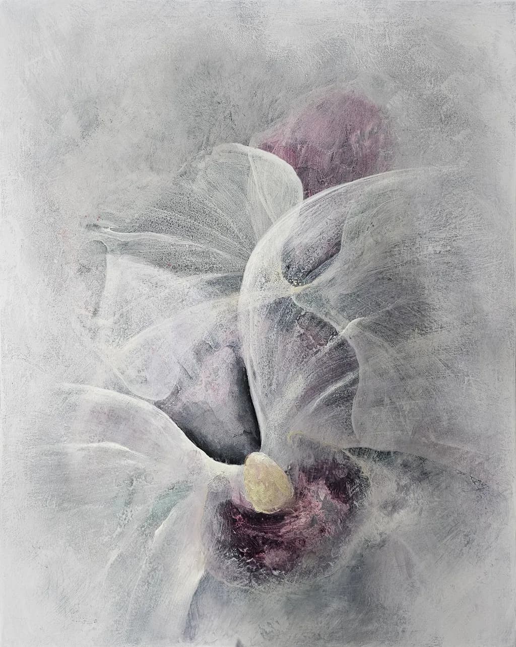 Veil of Orchid