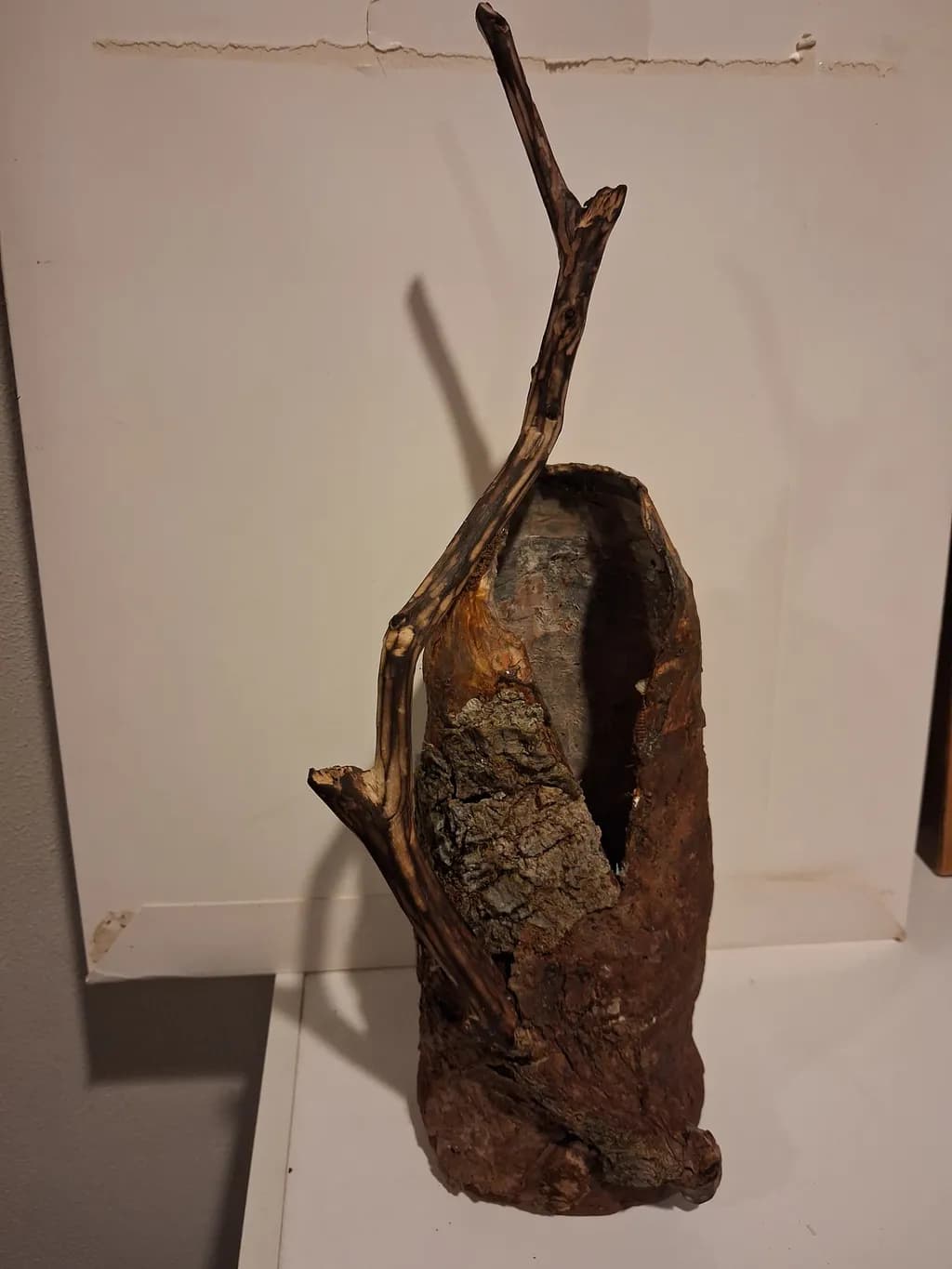 Hollow Branch Essence