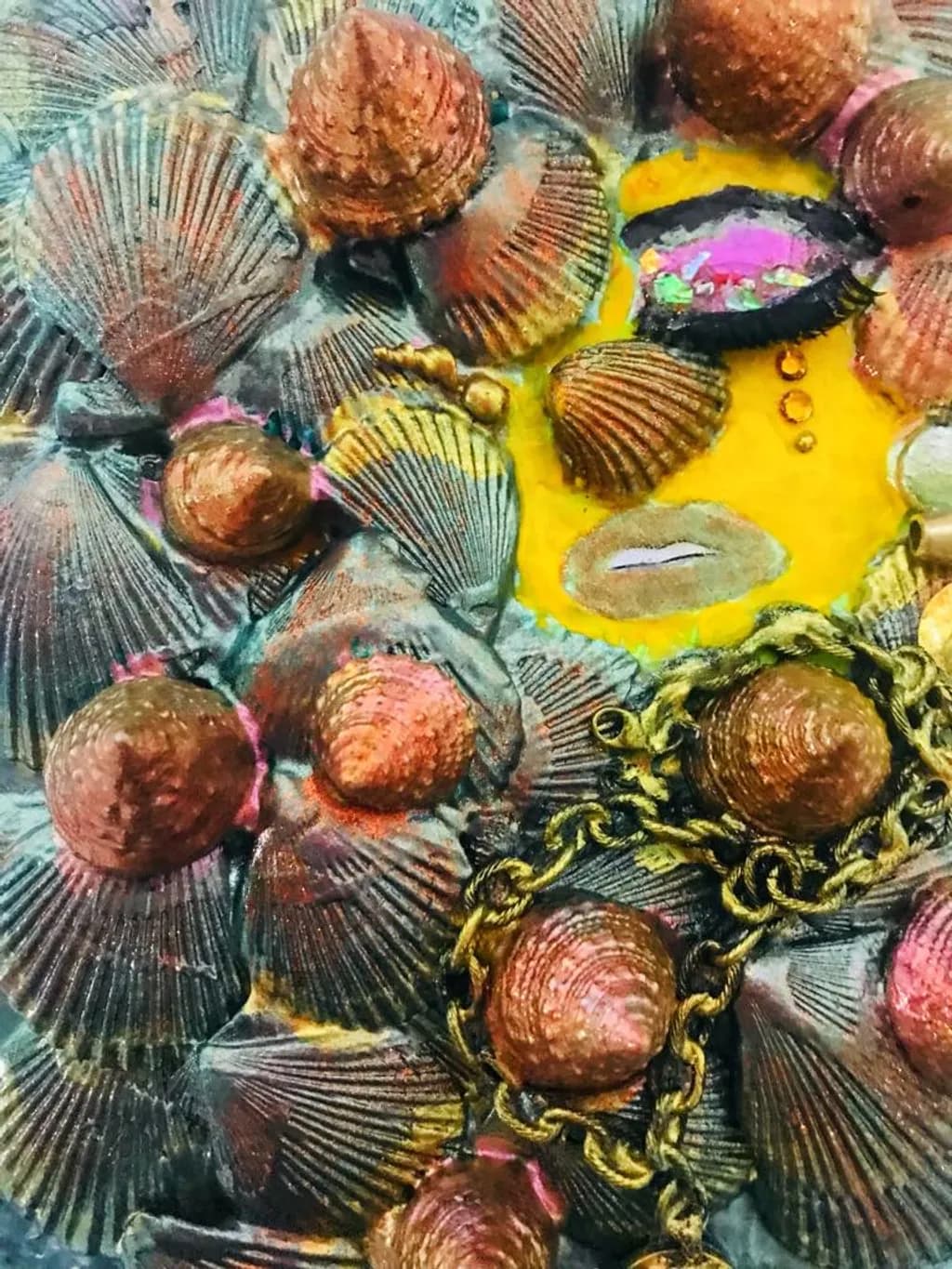 Seashell Enigma