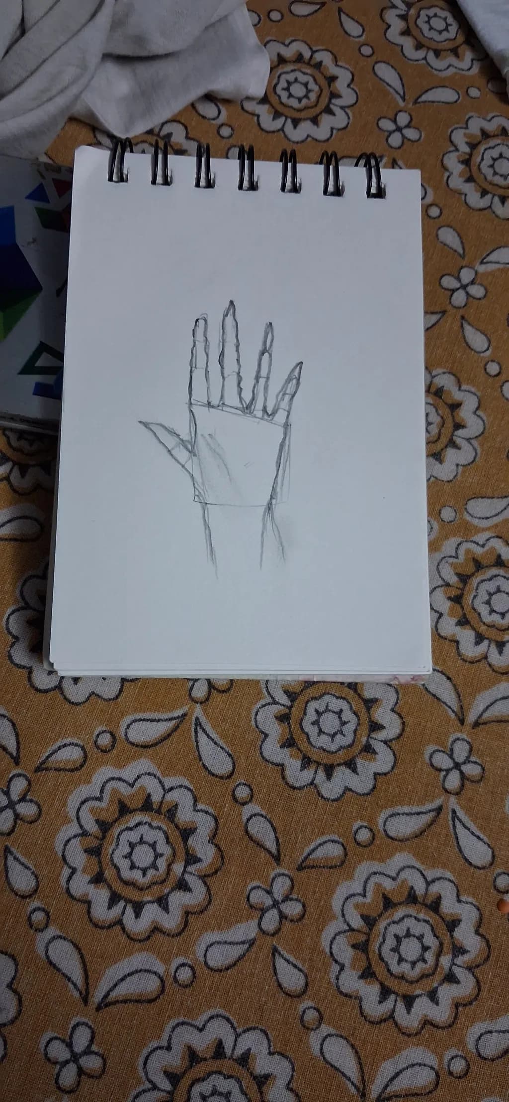 Hand Study