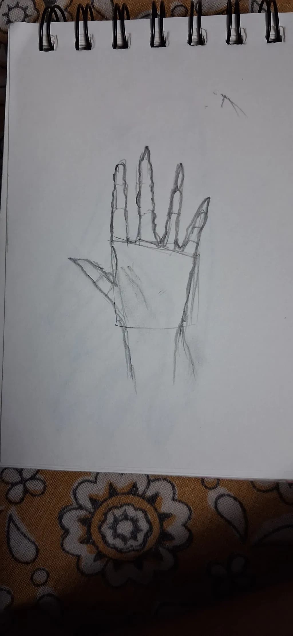 Geometric Hand Study