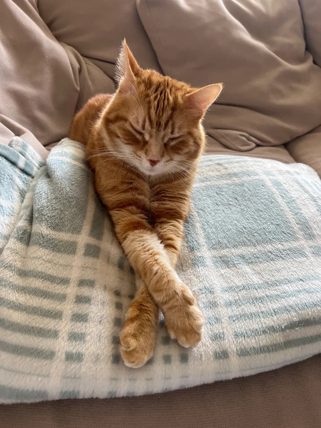Crossed Comfort