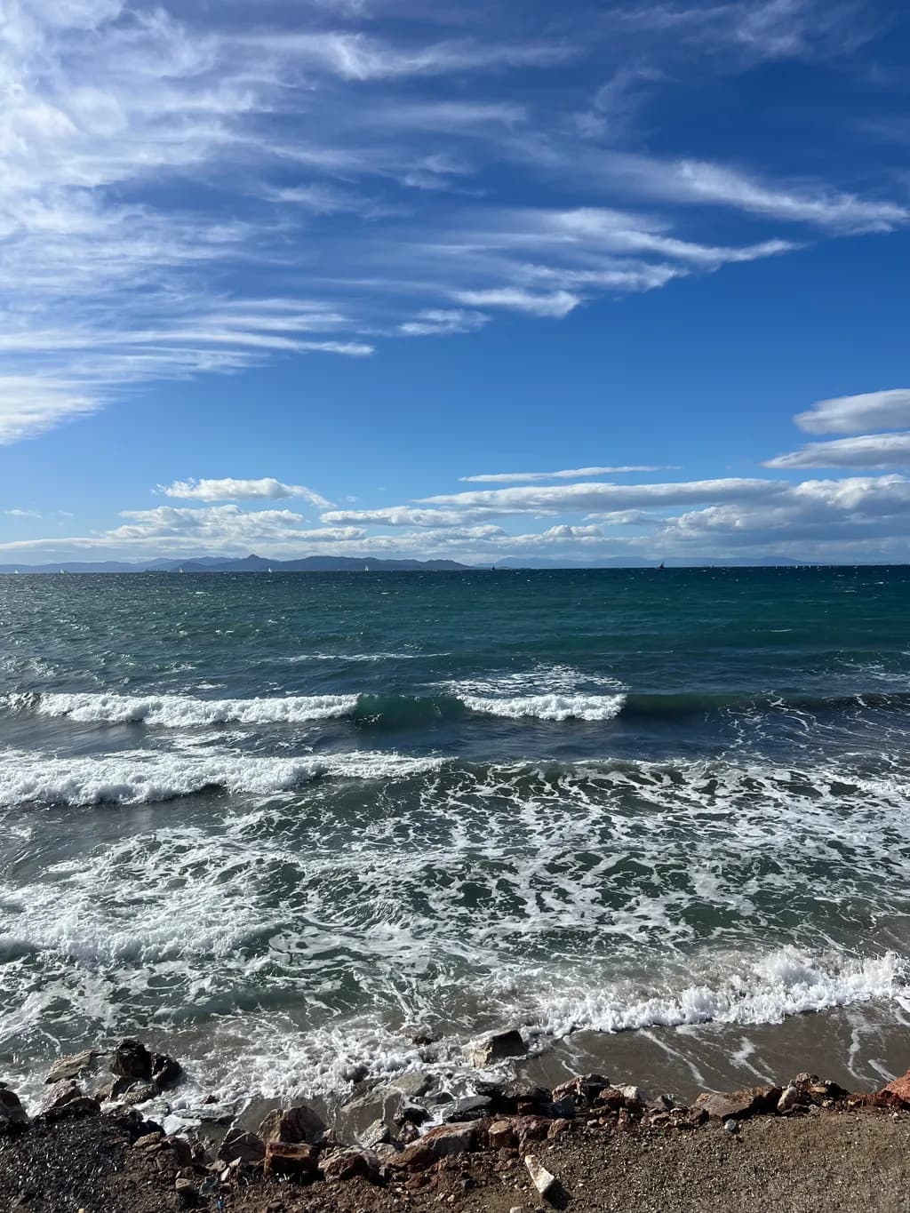 Coastal Pulse