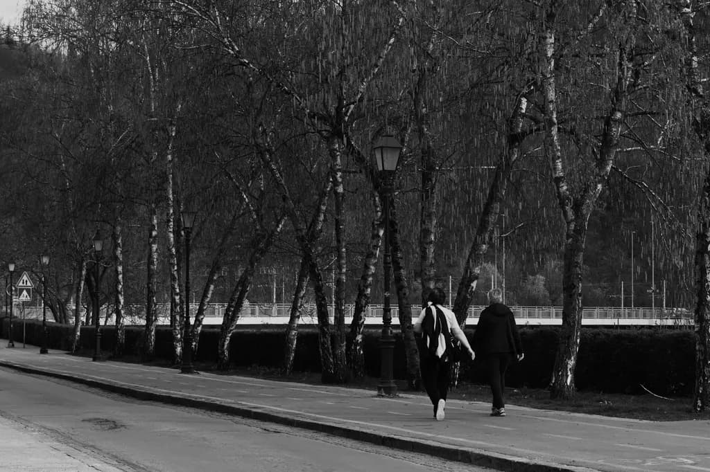 Silent Stroll