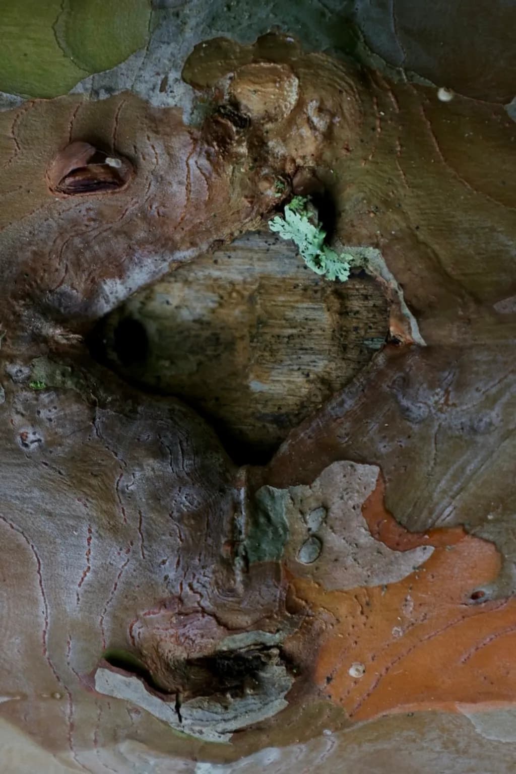 Worn Hollow