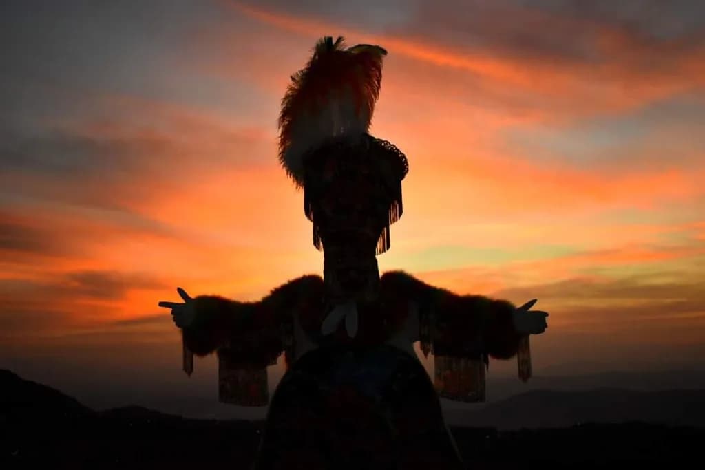 Feathered Silhouette