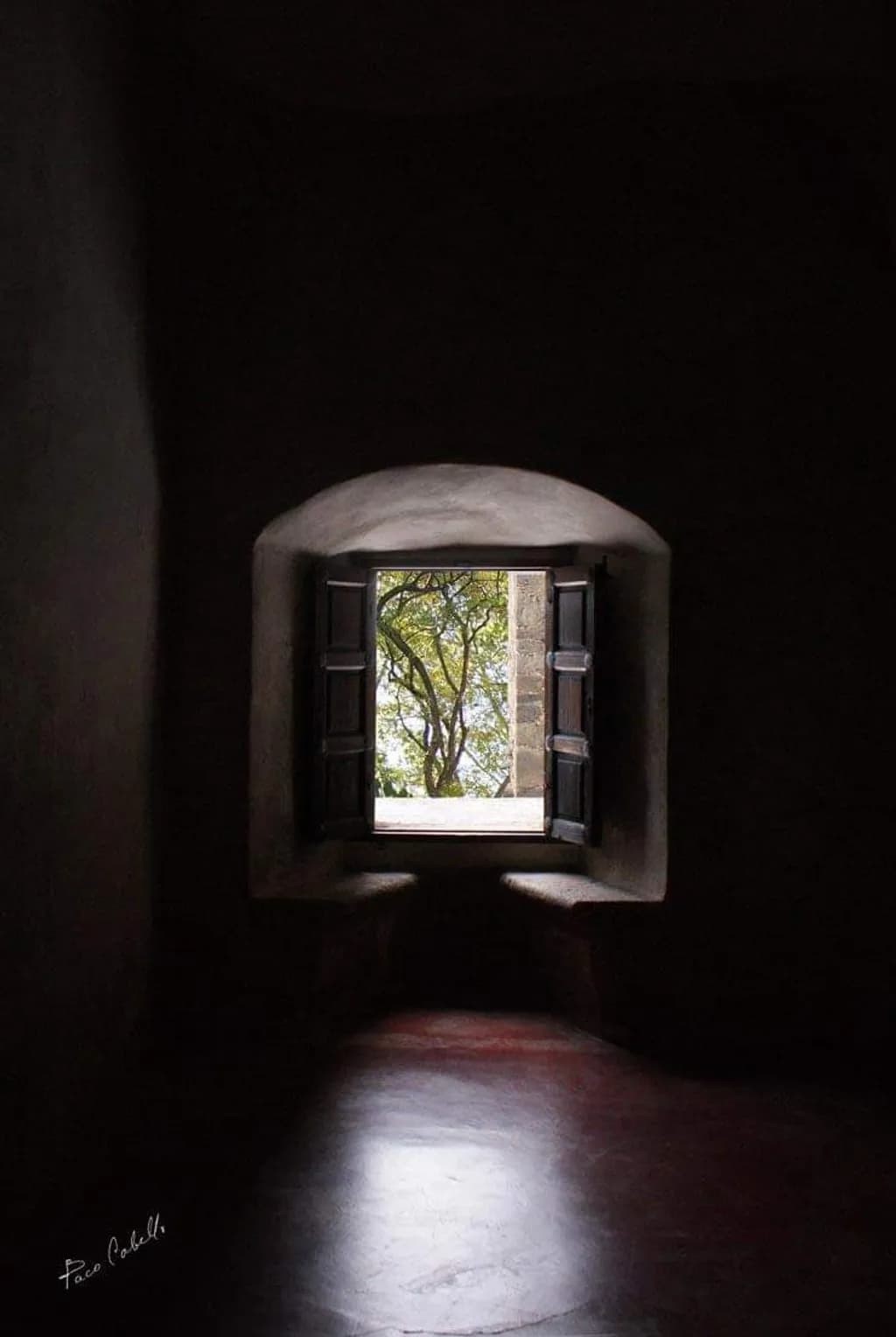 Framed View