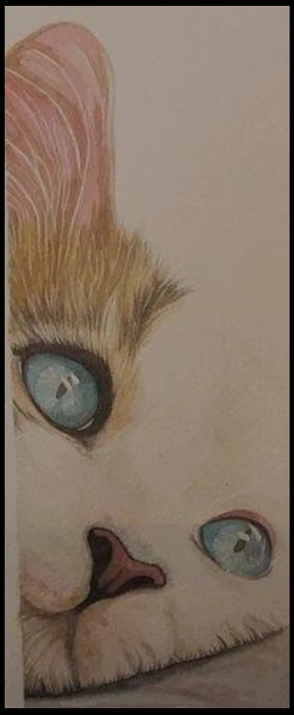 Blue Gaze