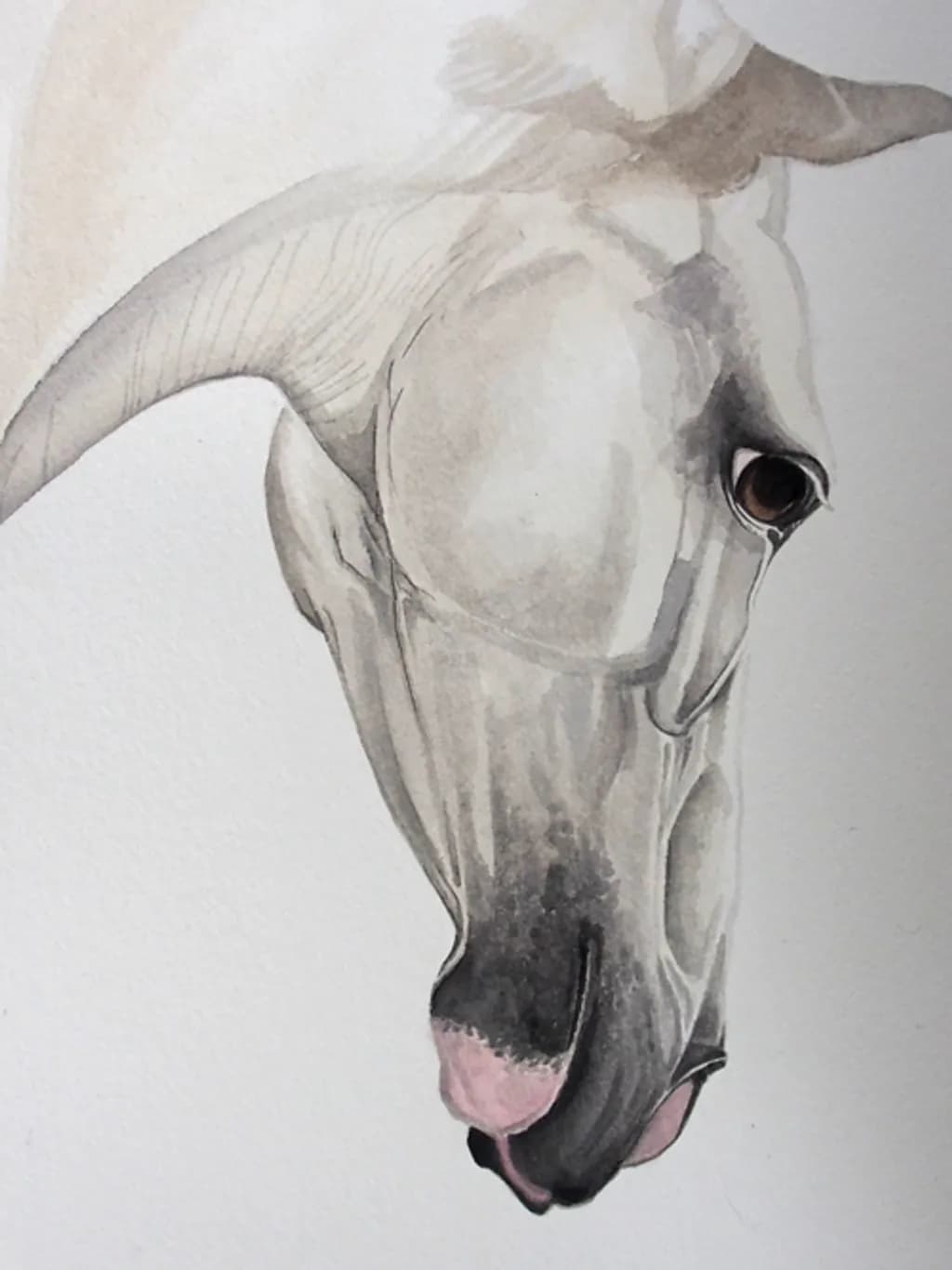 Grey Mare