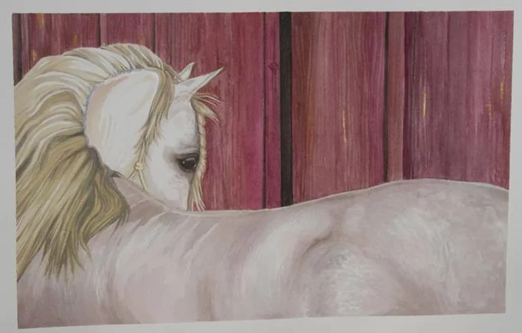 Regalo Andalusian Stallion