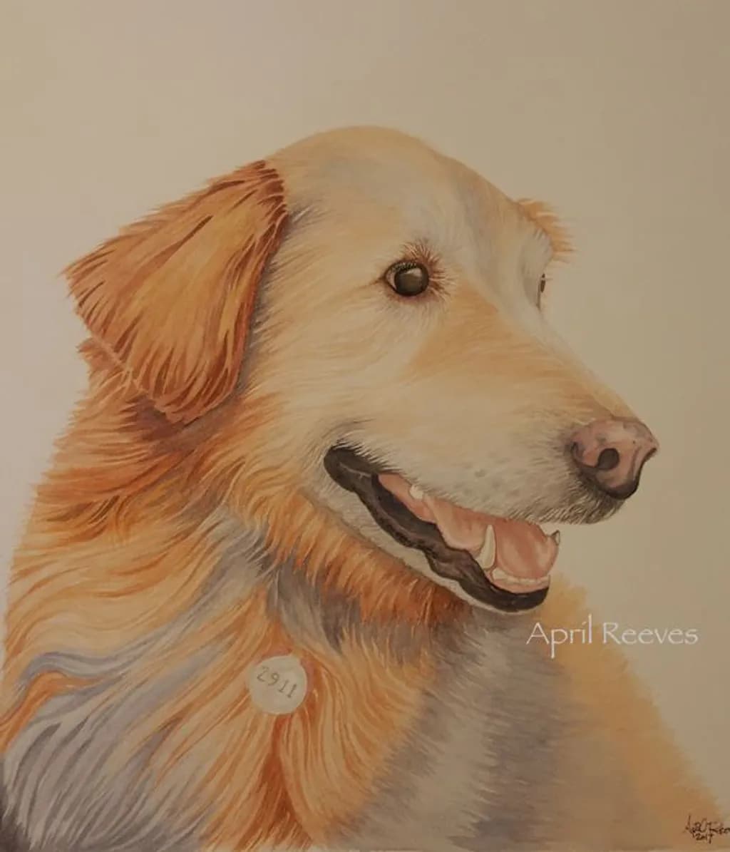 Golden Retriever Portrait