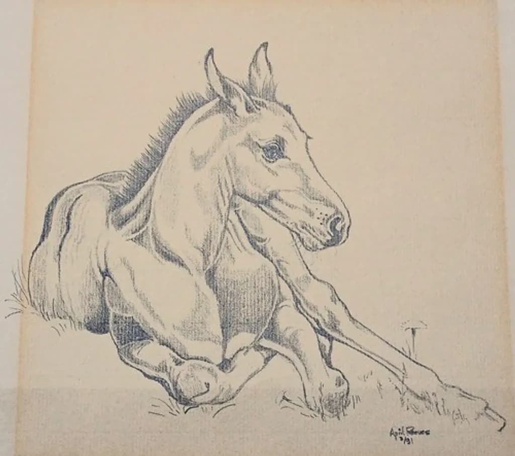 Resting Colt Sketch