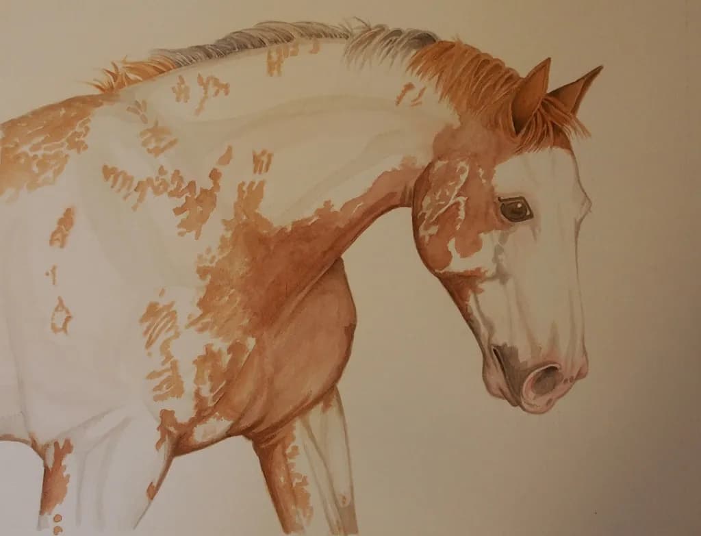 Painted Palomino